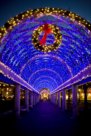 Boston, MA 12/01/07 50,000 blue lights adorn the trellises at Christopher Columbus Park in the North End of Boston, MA on Saturday, December 1, 2007. (Yoon S. Byun/Globe Staff) Section: Regional Slug: 09cilights Reporter: Rich Fahey Library Tag 12092007 City Weekly
