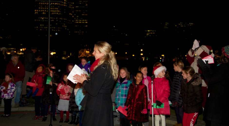 2012-11 | CCP Trellis Lighting 16