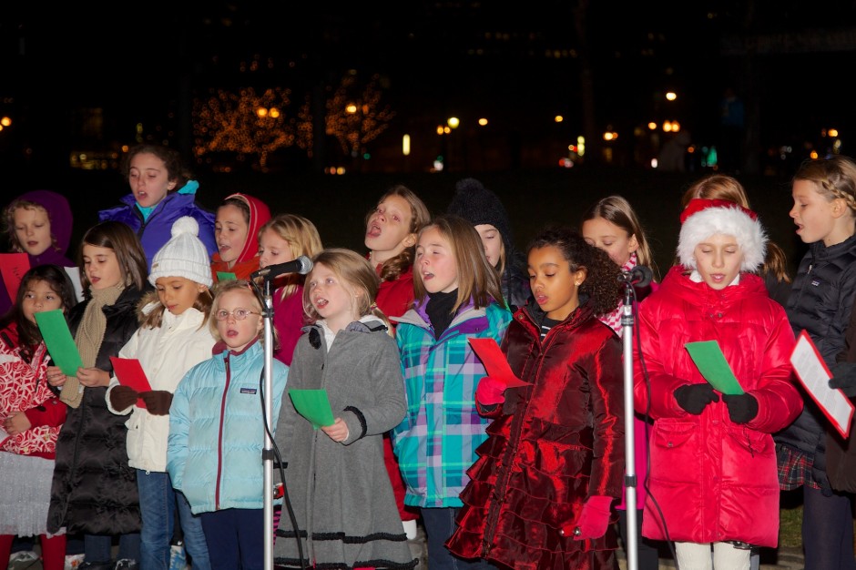 2012-11 | CCP Trellis Lighting 19