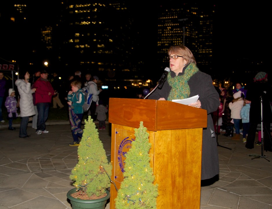 2012-11 | CCP Trellis Lighting 5