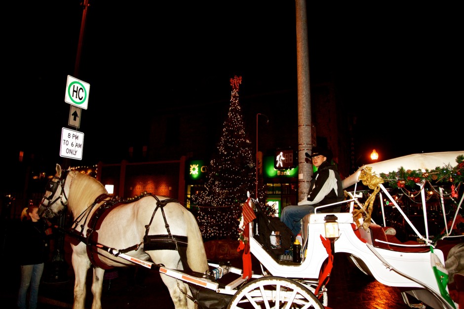 Free carriage rides for all the kids!