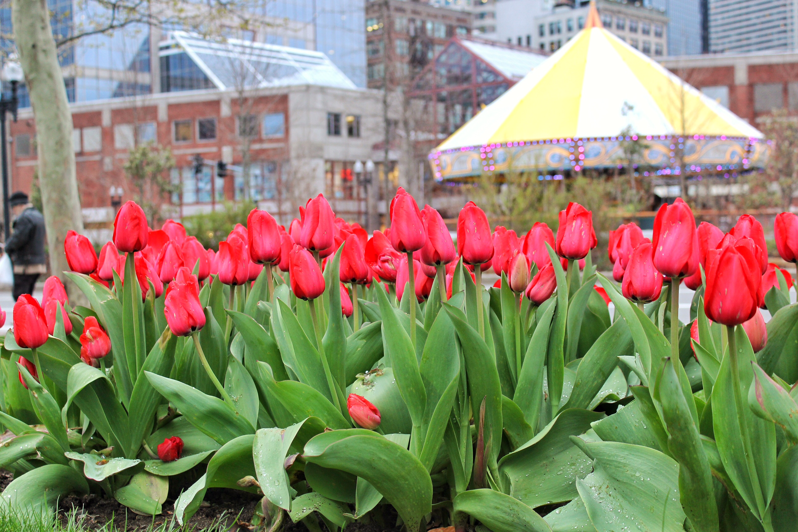 Spring is in full swing? Photo by Bob Somerville.