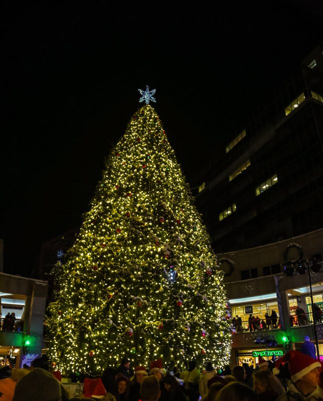 Faneiil Hall Christmas Light Show 2022 Boston's Tallest Tree Lighting Brightens Up Faneuil Hall –  Northendwaterfront.com